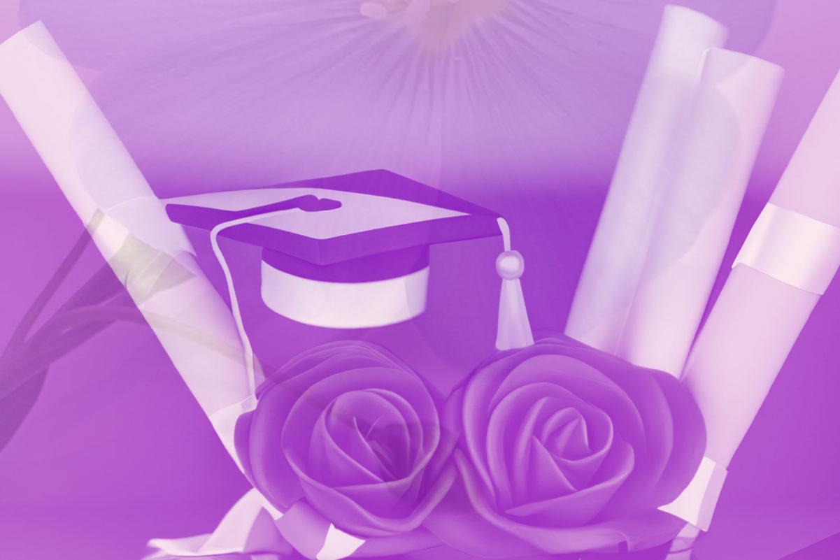 两张毕业证书和玫瑰，后面有一顶毕业帽，上面覆盖着紫色的薄膜